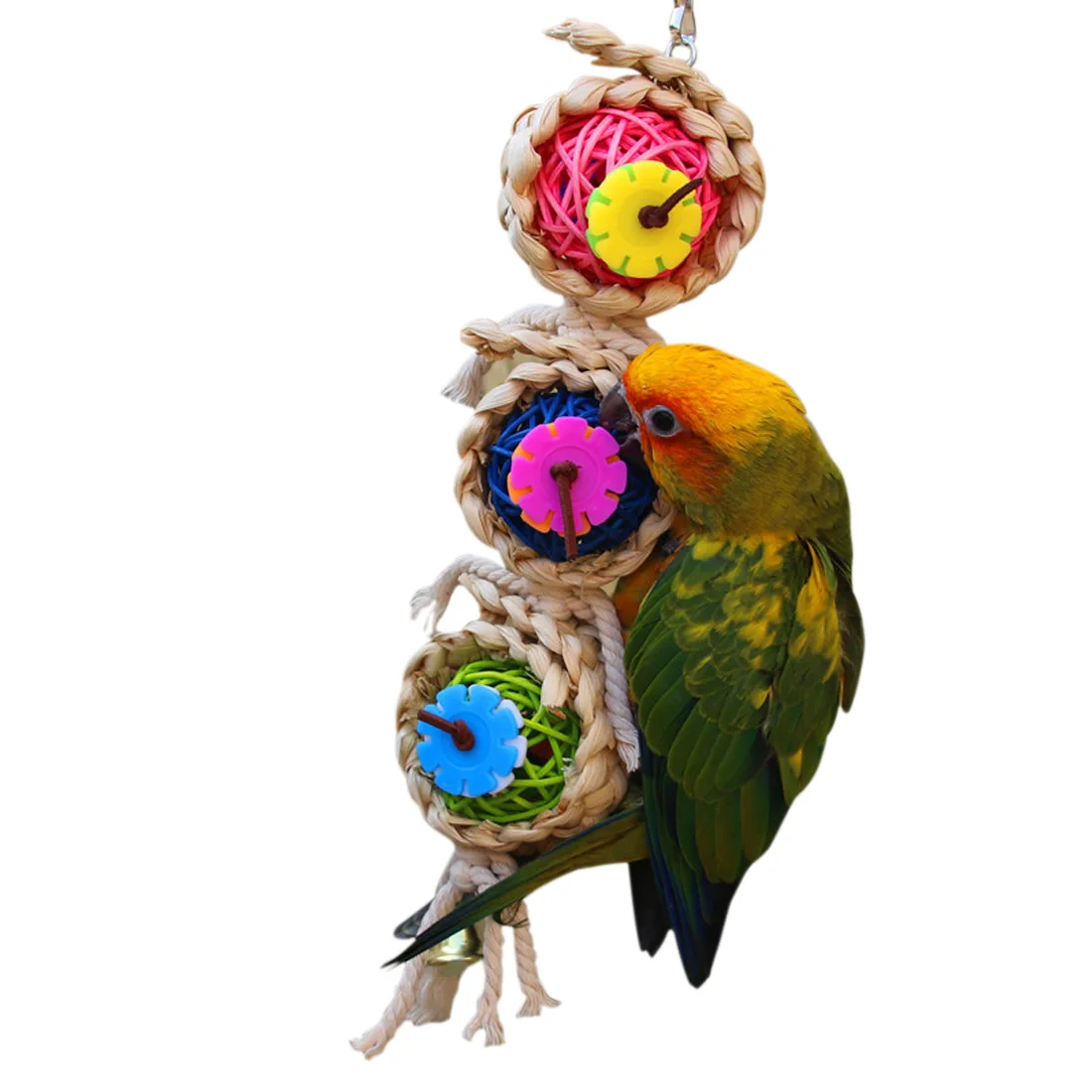 Buy Bird Parrot Accessories Bird Toys Parrot Toys