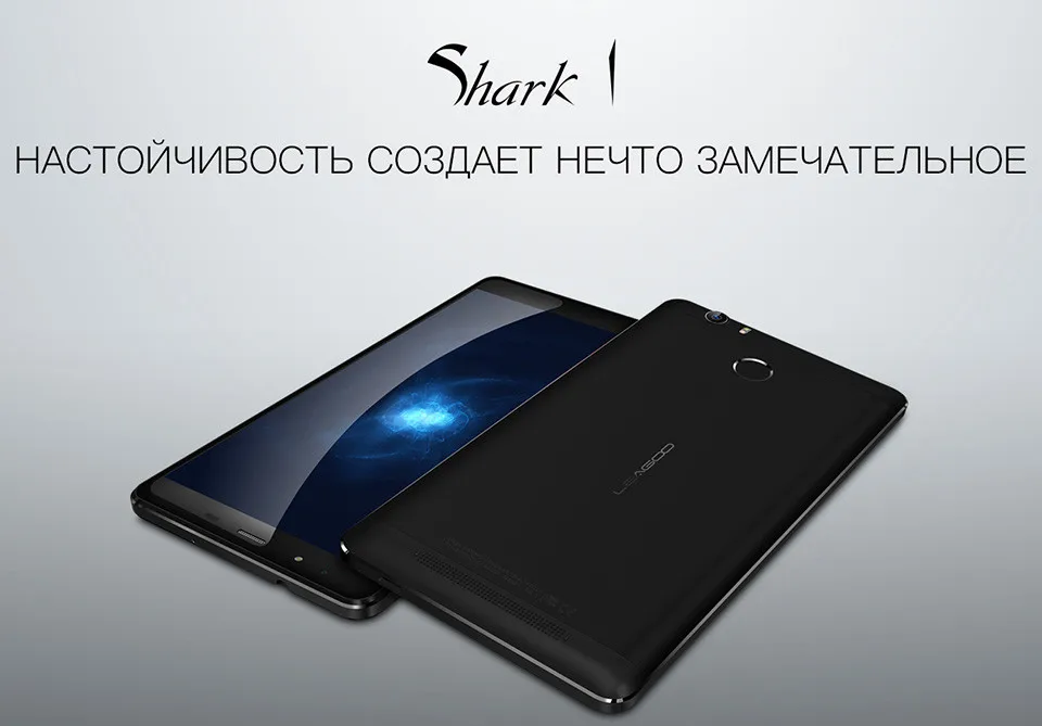 shark1_01