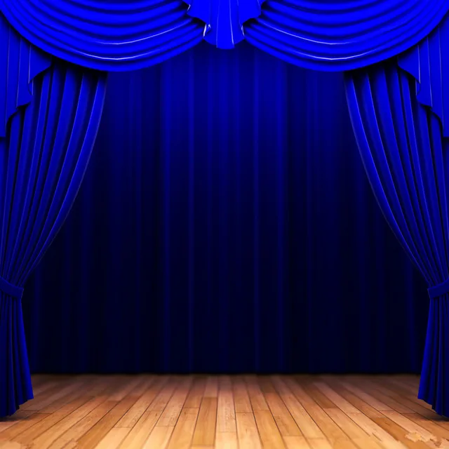 stage theme vinyl custom photography backdrop photo studio