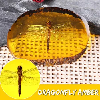 

Natural Amber Dragonfly Insect Manual Polishing Decorations DIY Ornament Craft Gift Home Decoration