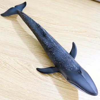 

The Blue Whale Model Simulation of Marine Biological Animal Model Toys Toys