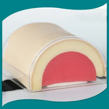 

Humans Skeleton Anatomical Intramuscular Injection Trainning Intravenous Practicing Subcutaneous Nursing Model Skin In Trauma