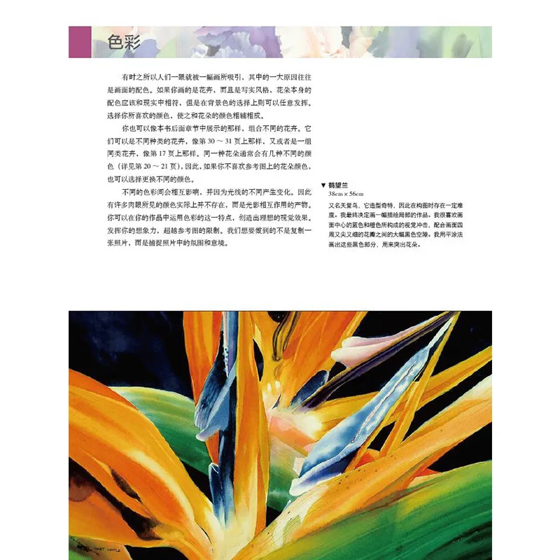 Новые горячие цветы акварельные Рисование книга для взрослых Джанет Уиттл акварельные растения цветы живопись книги(китайское издание