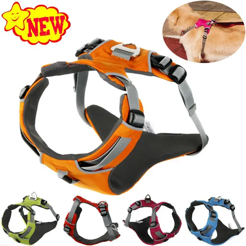 Cheap Large Dog Toys Cheap Large Dog Toys