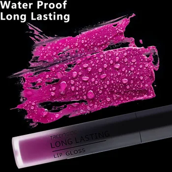 

TREEINSIDE 1901 explosion models -30 color cross-border matte non-stick cup lip gloss lipstick