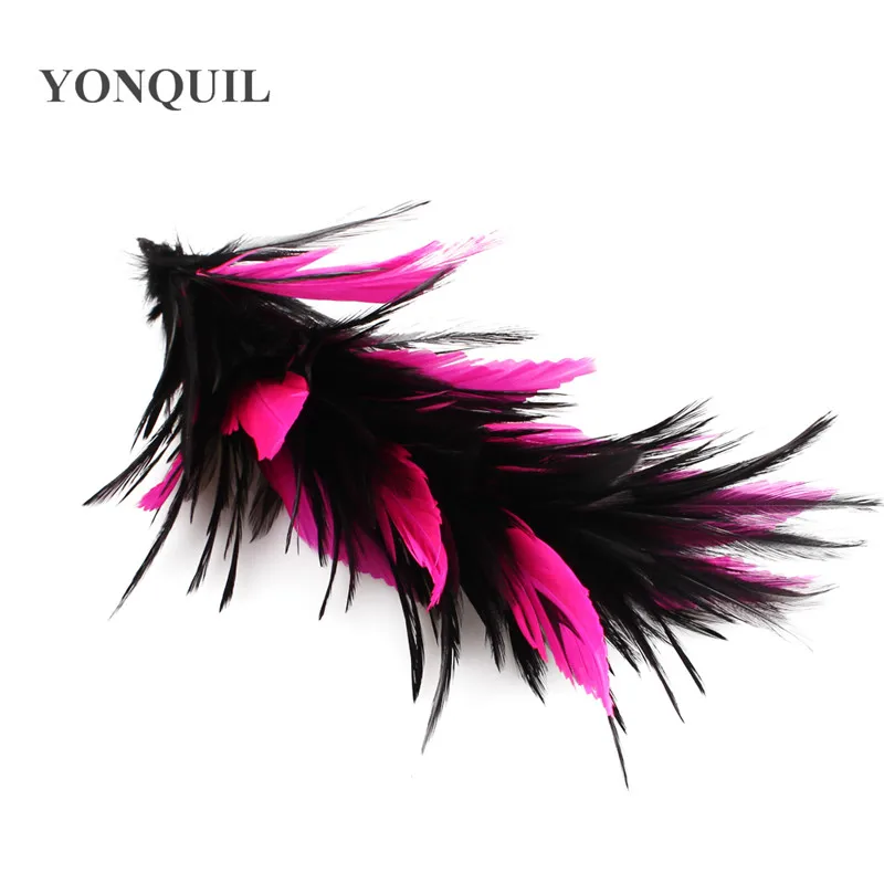 SYFE12(18)