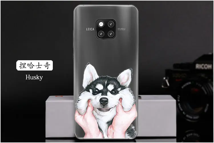  Husky