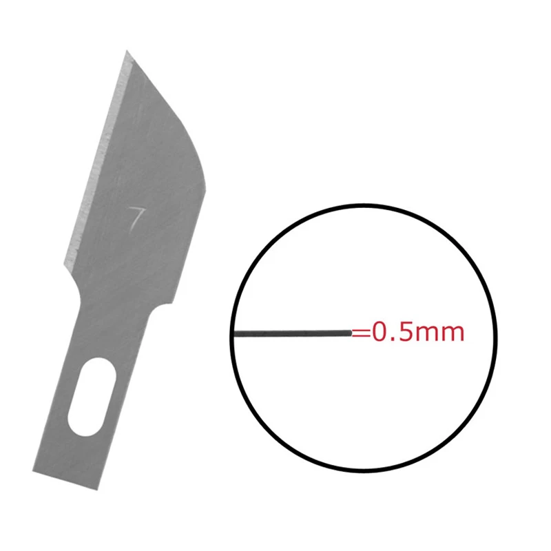 1231