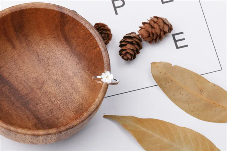 8246826467_1646359543