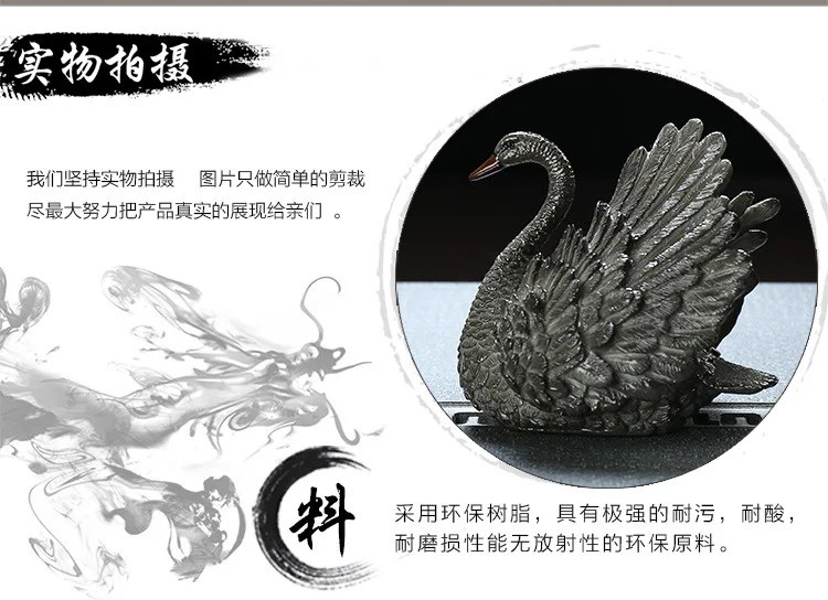 爱情天鹅_03