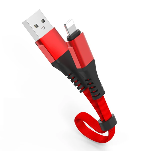 ACCEZZ USB зарядный кабель для Apple iPhone 5, 6, 7, 8 Plus, X, XR, XS, MAX, iPad, 2.4A, кабели для быстрой зарядки, шнур для передачи данных, короткий провод - Цвет: Red