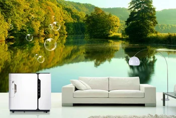 

elderly oxygen absorber Hi-atomized 5L 5 liter oxygen machine Home medical oxygen machine