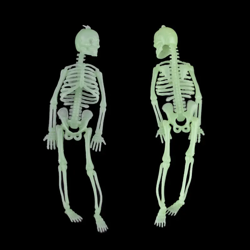 9214175057_1060845549