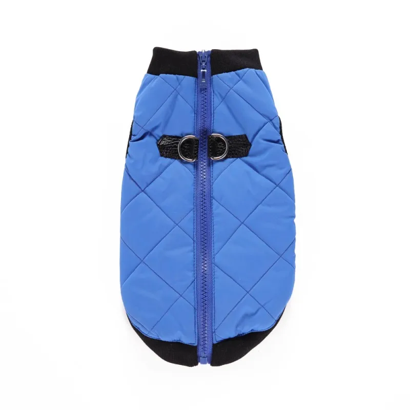 Pet Jacket Zipper Leather Buckle Casual Winter Jacket Warm Multi color