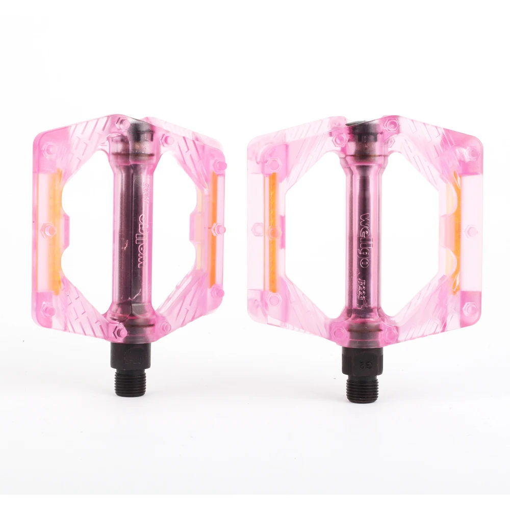 B223P-PINK1 (2)