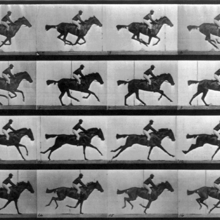 Muybridge Locomotion  Racehorse Galloping  1887 Poster Print by Science Source (36 x 24)