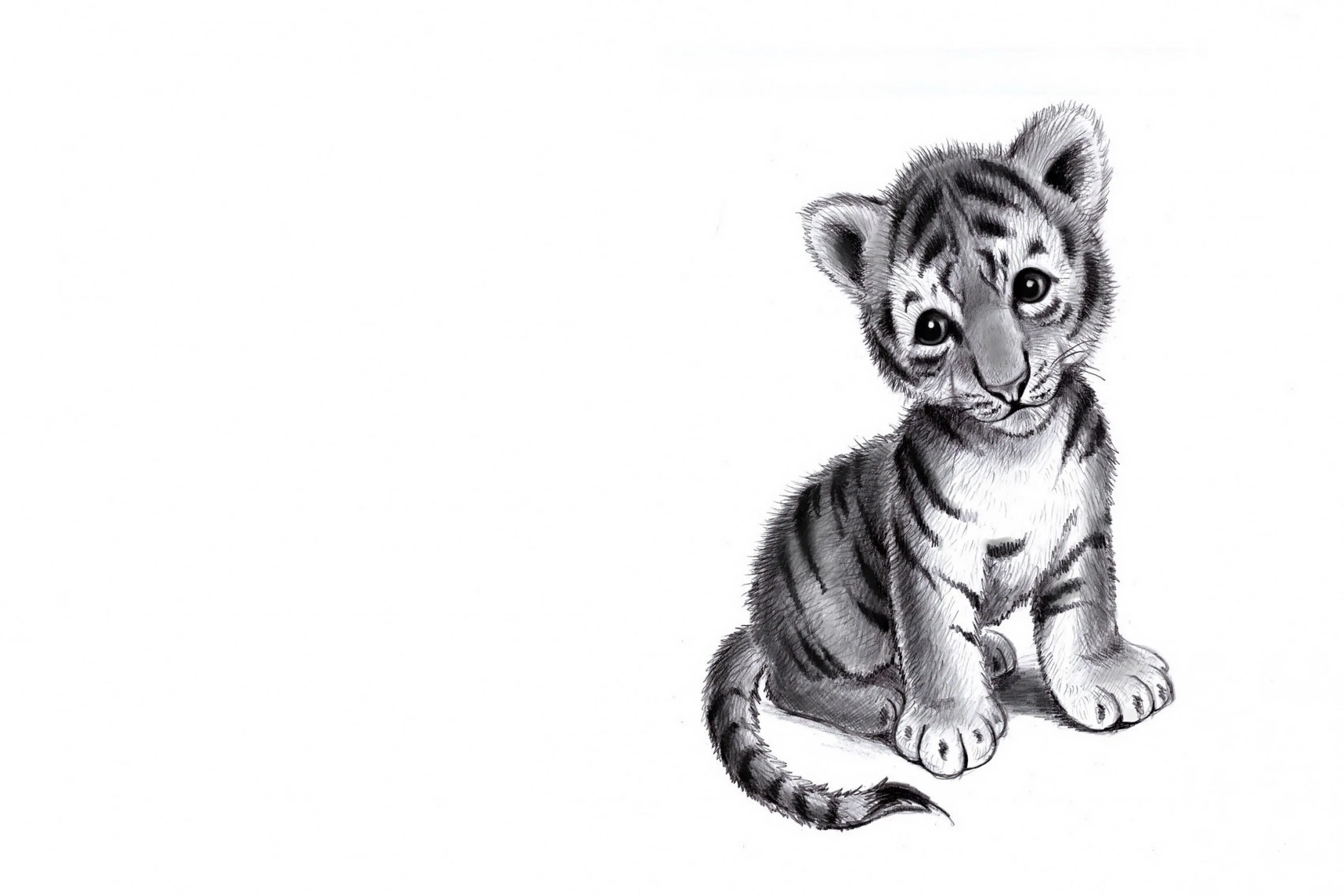 Baby tiger pencil drawing sad mood Living room home art decor wood