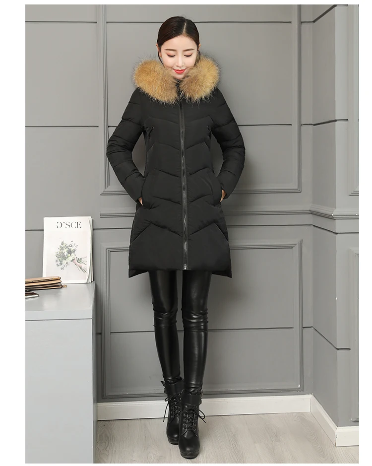 Jackets Women's Winter Long Jacket 2018 Cotton Padded Coat Women Fake Fur Collar Zipper Outwear Coats Female Slim Thick CH587 (13)