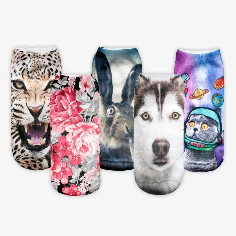 HTB1h9frGXXXXXabaXXXq6xXFXXXR