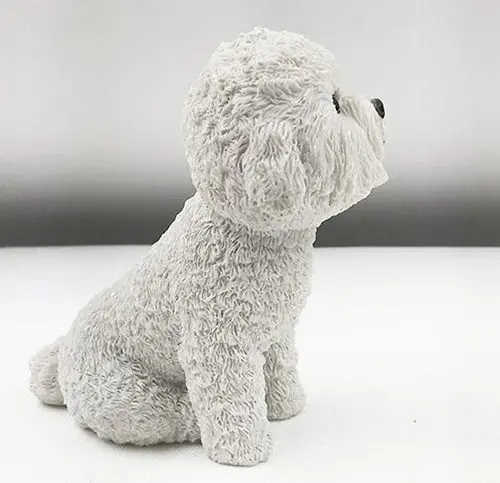 poodle dog