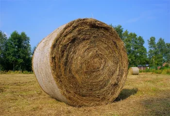 

Laeacco Autumn Farm Hay Roll Photography Backgrounds Customized Photographic Backdrops For Photo Studio