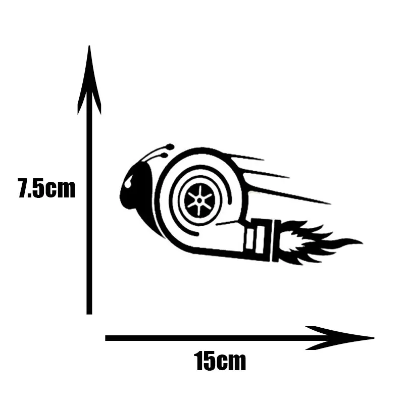 6019