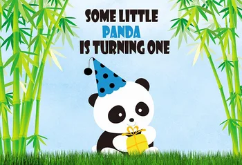 

Little panda picture backgrounds photography vinyl bamboo grove Fotografia photo backdrops for photographic studio props G-1117