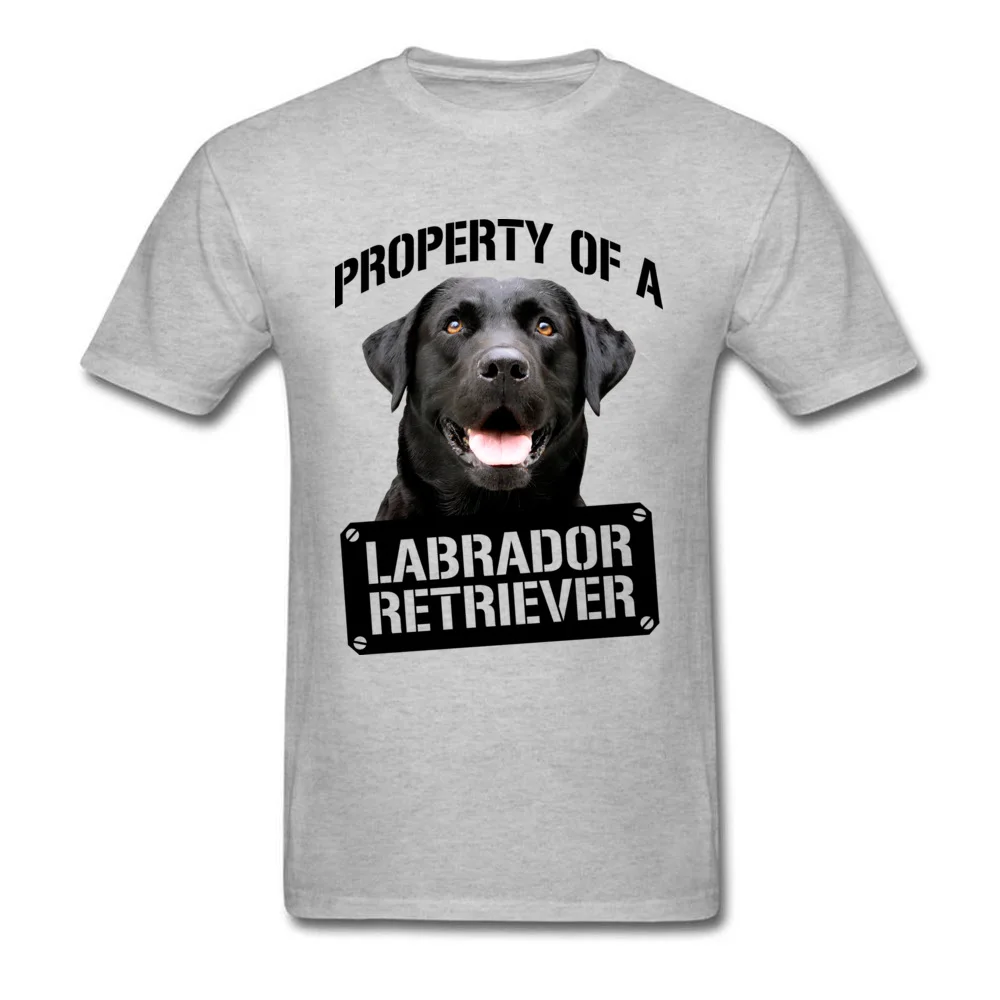 Love Dog Labrador Retriever_grey
