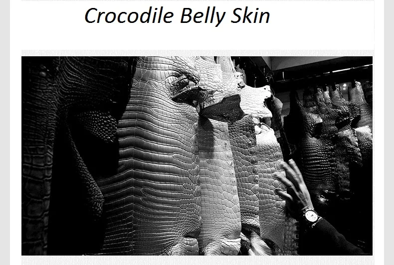 Цельный дизайнерский мужской большой клатч из натуральной крокодиловой кожи, длинный мужской кошелек из натуральной кожи аллигатора