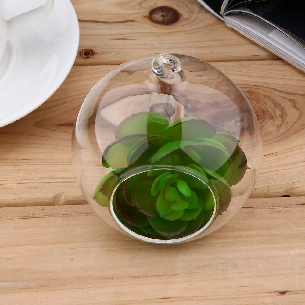 Buy New 8cm Terrarium Glass Round 1 Hole Flower Stand