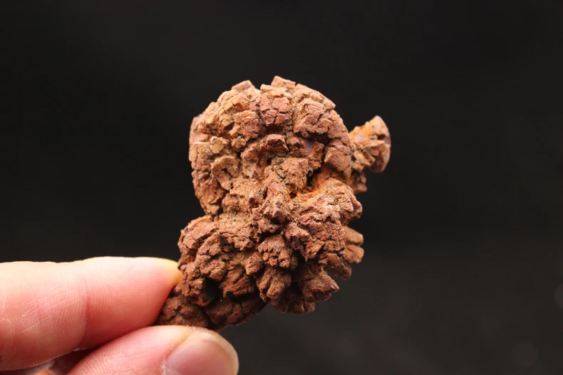 

100g Natural Dinosaur dejecta fossil rough feces fossil specimen