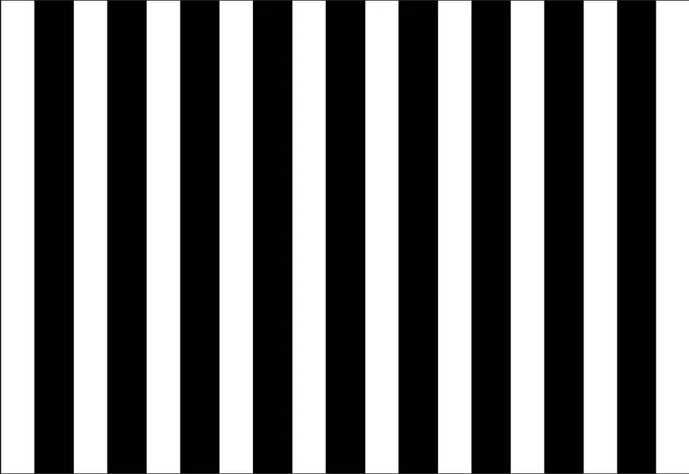 7x5FT Black White Stripes Wall Custom Photo Studio Backdrops Backgrounds Vinyl 220cm x 150cm-in