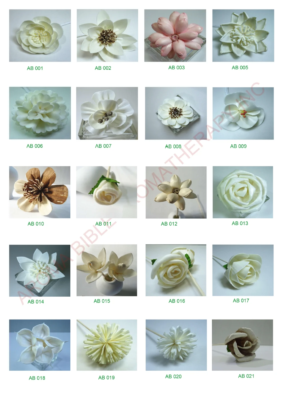sola flower group 1.jpg
