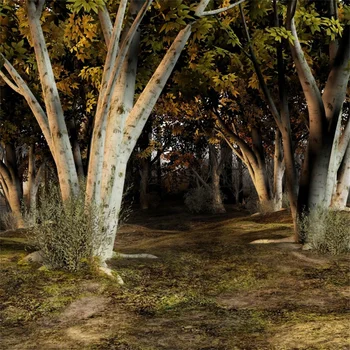 

Laeacco Dark Night Tree Scenic Baby Photography Backgrounds Customized Digital Photographic Backdrops For Photo Studio