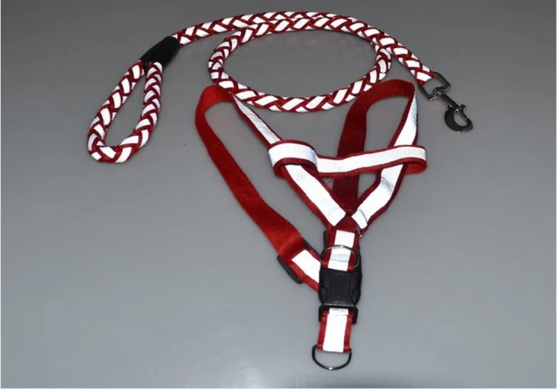 L18_New_arrival_Pet_Dog_Nylon_Adjustable_Training_Lead_Reflective_Dog_Strap_Rope_Traction_Dog_Harness_Collar_Leash (8)