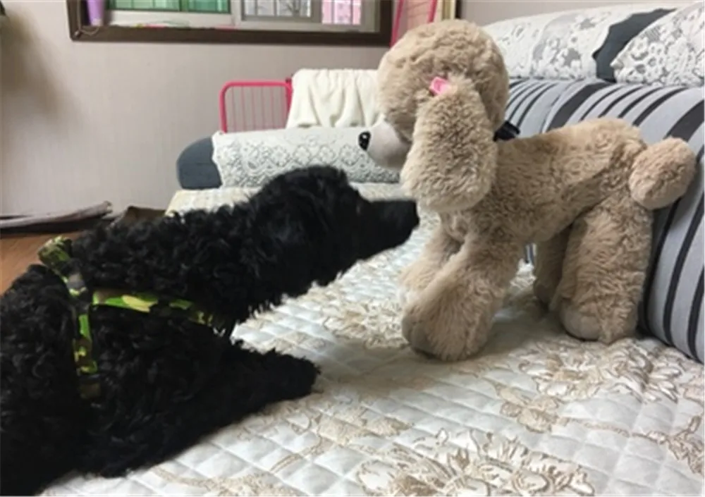 Fancytrader Pop Plush Anime Poodle Toys Kids Gift Soft Stuffed Cuddly Animals Dogs Doll 40cm 16inch4