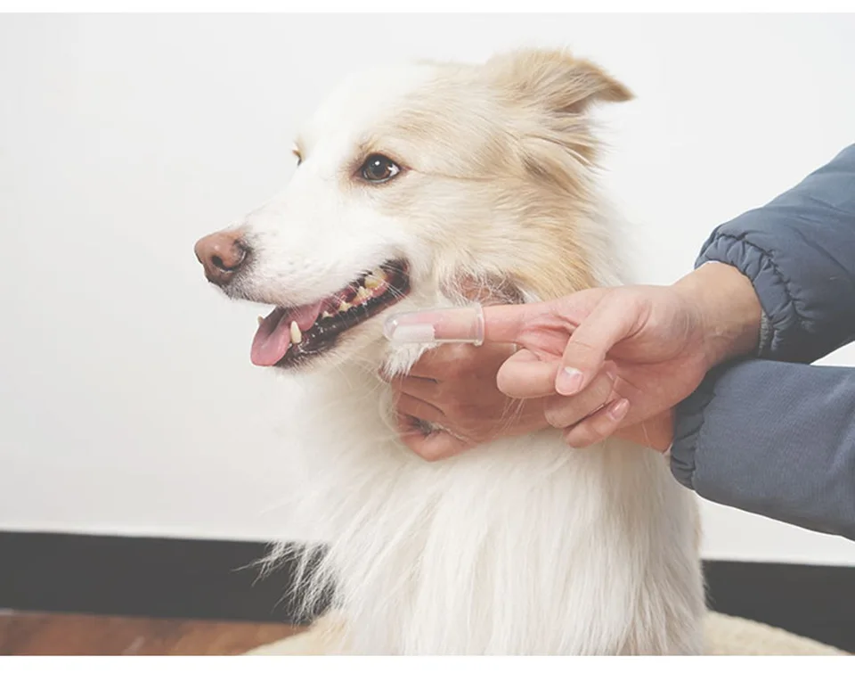 gm6Rjf6mz9QYJXg22TUV4seA3chT5pPASDdt