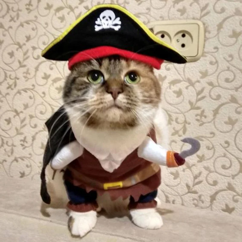 Смешные костюмы с котами пиратский костюм Одежда для кошек котенок Корсар на