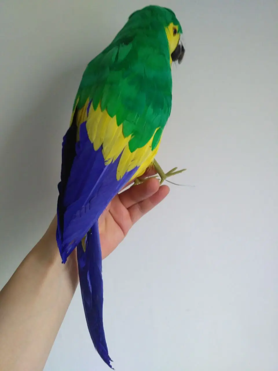 24 -  - 