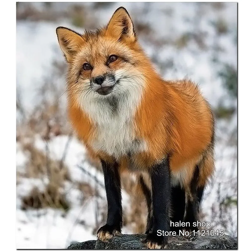 

NEW DIY Diamond Painting Crafts 5D Diamond Mosaic Home Decorative Painting Cross Stitch Diamond Embroidery fox Pattern XC297