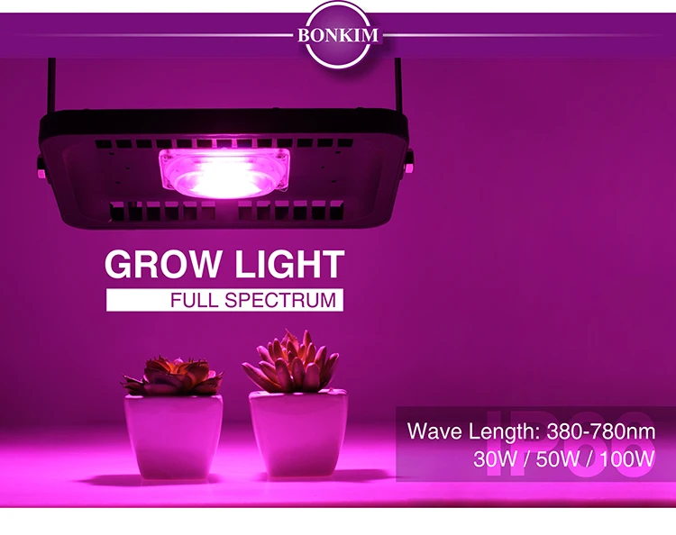 Светодиодный Grow светильник полный спектр потока светильник 30W 50W 100W 110V220V COB Чип для внутреннего и наружного спорта Hydroponice завод рассады для роста растений