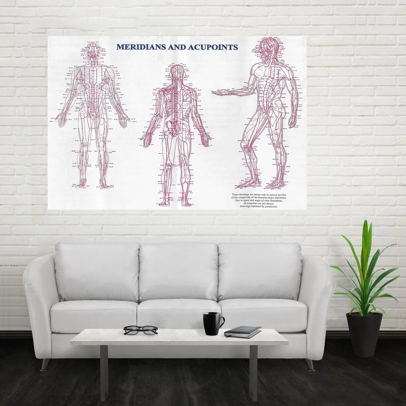 

Acupuncture Meridian Pathways & Points Art Canvas Poster Home Decor Dropshipping