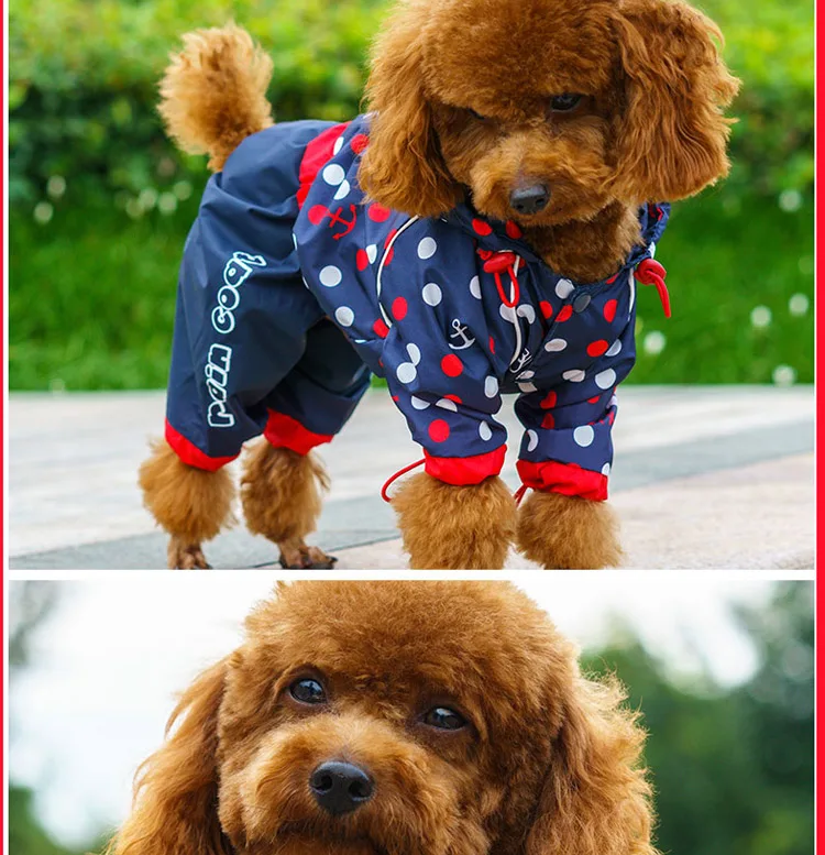 TB2kBdjlb8kpuFjy0FcXXaUhpXa_!!2417947080