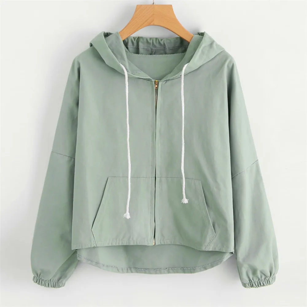 

2017 Autumn Winter Women Sweatshirt Loose Long Sleeve Thin Sweet Cute Cartoon Rabbit Ear Hooded Zipper Pockets Cute Short Coat