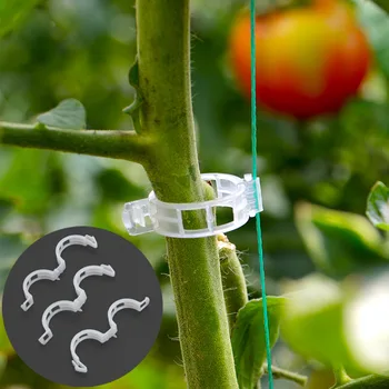 

Tewango 50pcs-Pack Greenhouse Plant Vine Fixing Tools Vegetable Tomato Stem Clips Supports Connect Trellis Twine Cages Flowers
