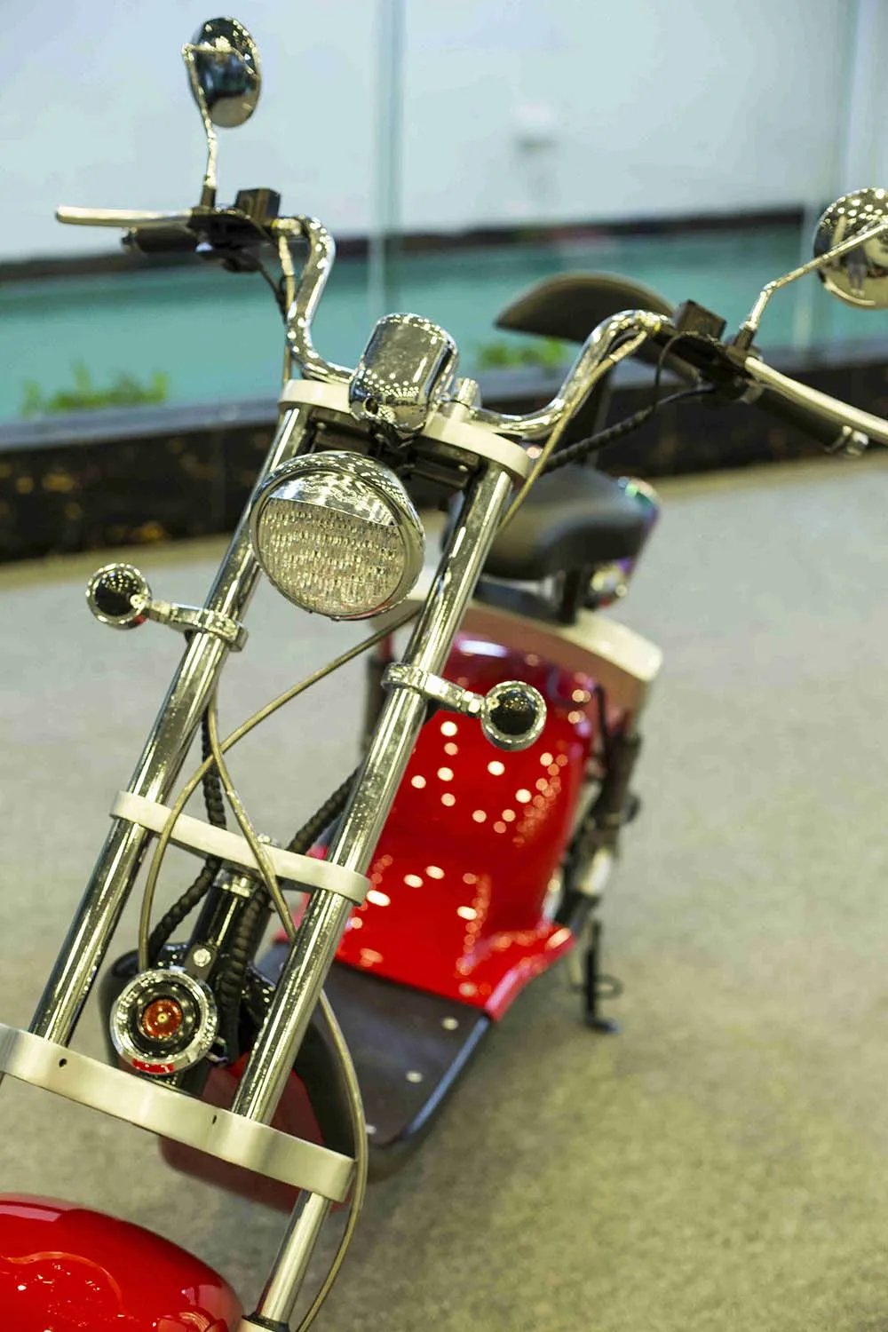 citycoco scooter (31)
