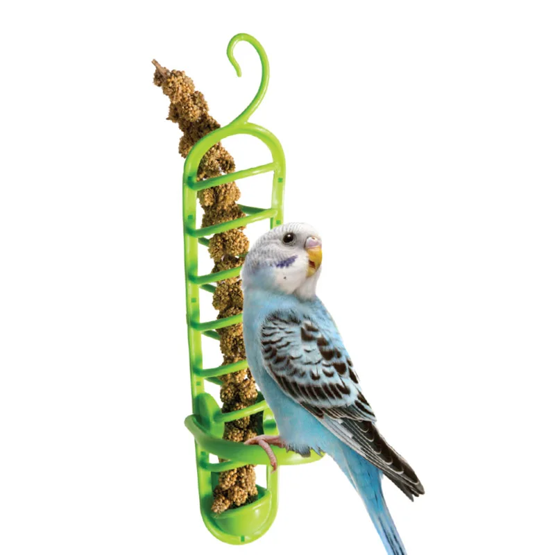 

CAITEC Bird Toys Parrot Food Basket Food Holder Suitable for Putting in Fruit Vegetable Millet Best for Small birds