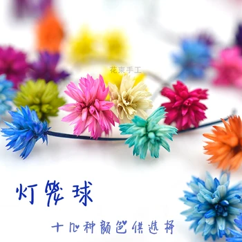 

Flower Invitation Lantern Ball Pressed Flowers Herbarium Dried flower DIY Natural Bouquet Branch Manual Glue