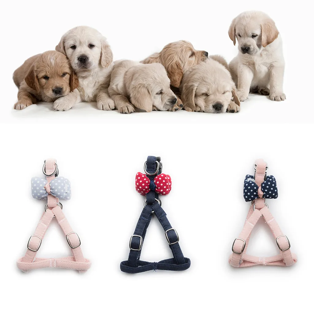 

Pet Cat Dog Cat Tie Pillow knot Vest Chest Straps Belt Set Adjustable Outdoor Security Training Dog Harness Collars Pet Dog Tag
