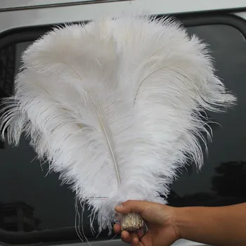 

Wholesale Natural Ostrich feather 30-50cm 12-20" DIY feathers clothes masks shoes Home Wedding Decoration Free shipping